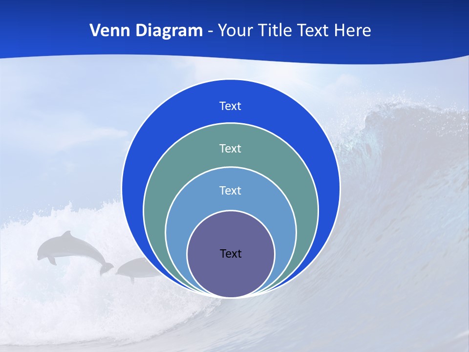 Daylight Animals Splashing PowerPoint Template