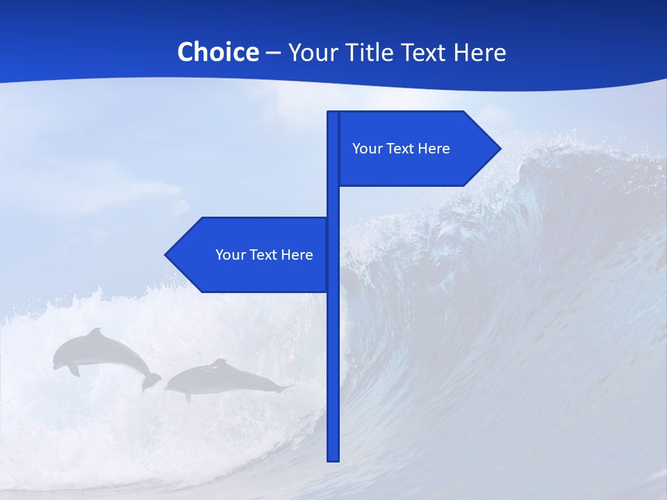 Daylight Animals Splashing PowerPoint Template