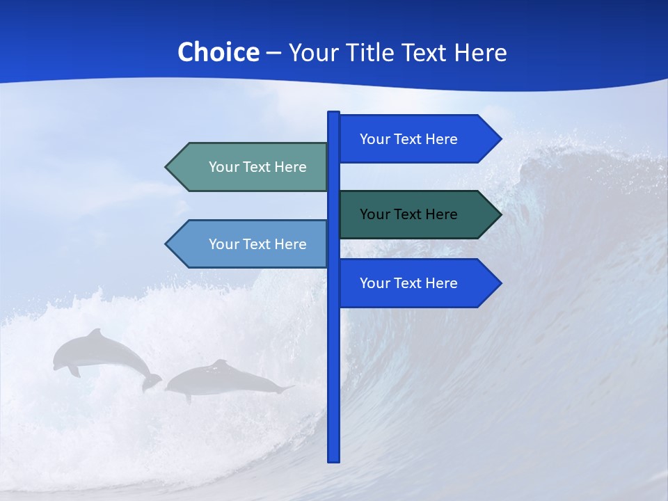 Daylight Animals Splashing PowerPoint Template