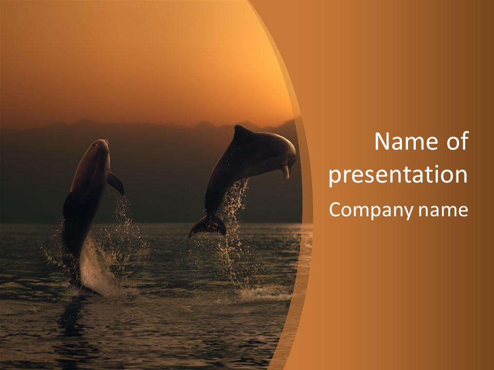 Jumping Splashes Animals PowerPoint Template