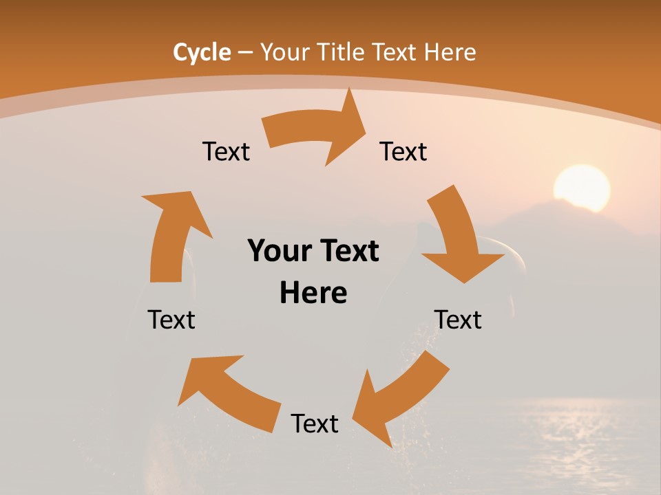 Jumping Splashes Animals PowerPoint Template