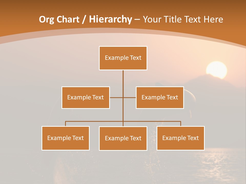 Jumping Splashes Animals PowerPoint Template