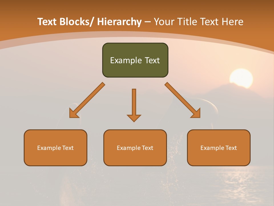 Jumping Splashes Animals PowerPoint Template
