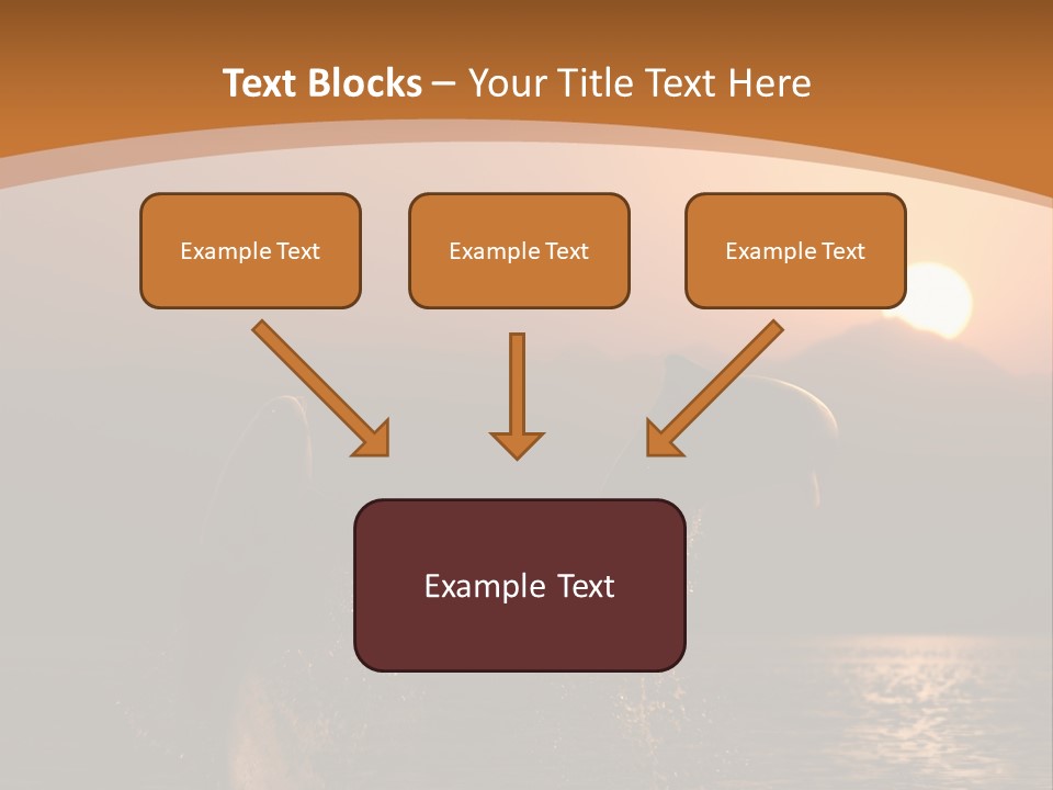 Jumping Splashes Animals PowerPoint Template