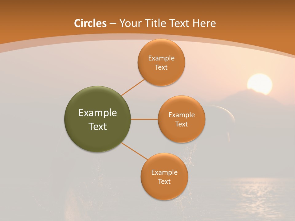 Jumping Splashes Animals PowerPoint Template