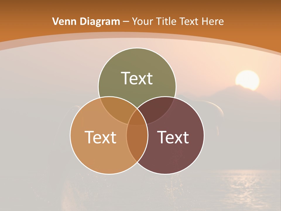 Jumping Splashes Animals PowerPoint Template