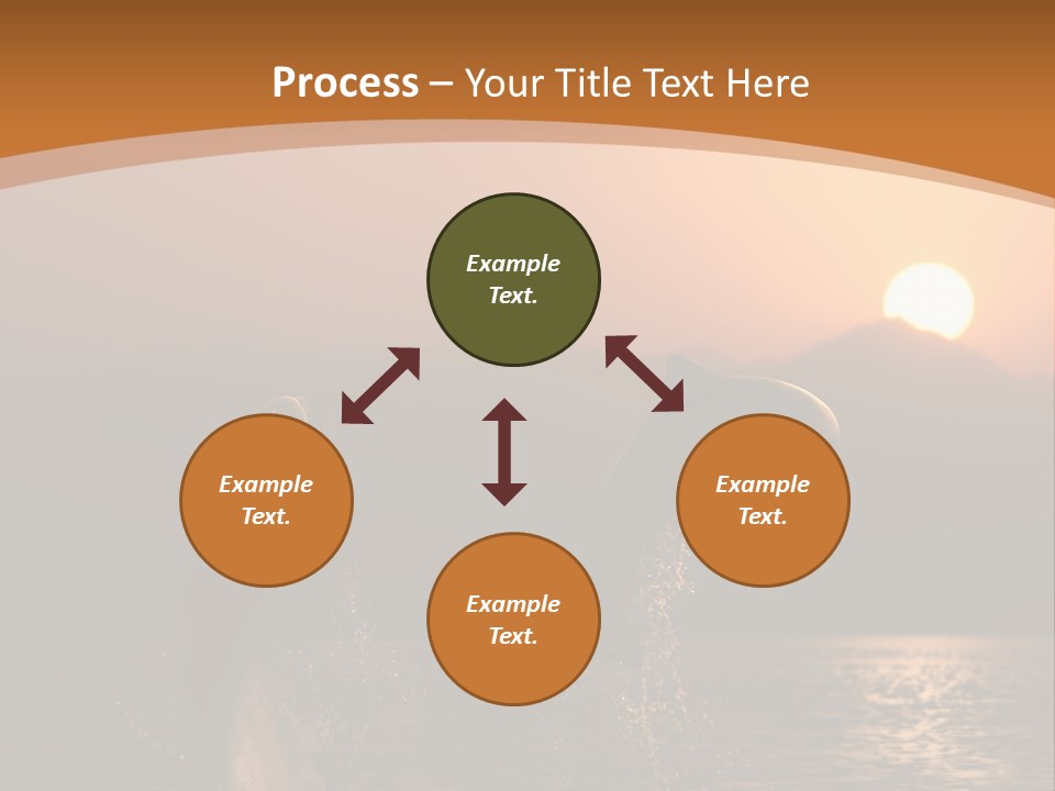 Jumping Splashes Animals PowerPoint Template