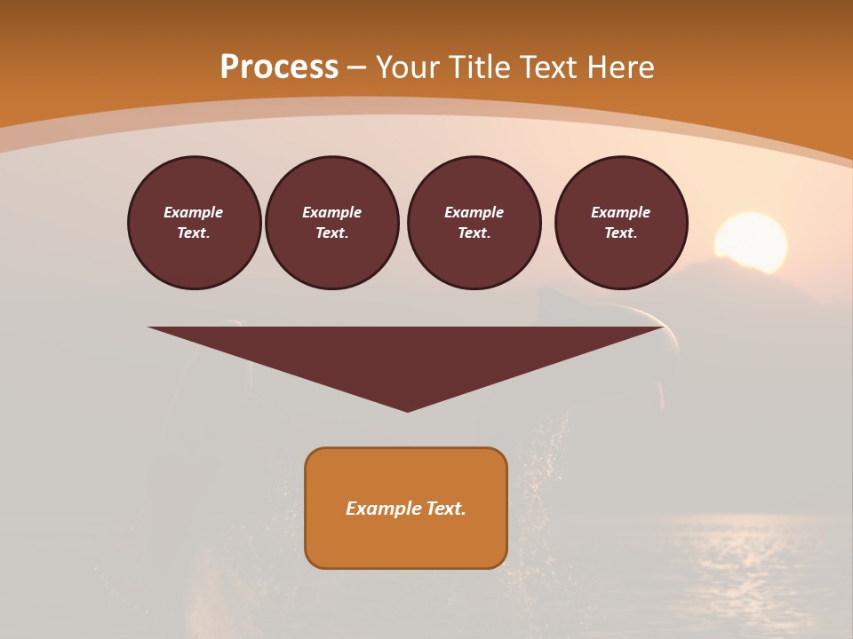 Jumping Splashes Animals PowerPoint Template