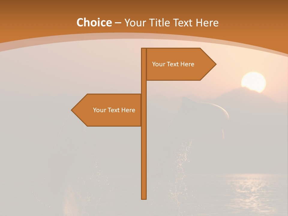 Jumping Splashes Animals PowerPoint Template