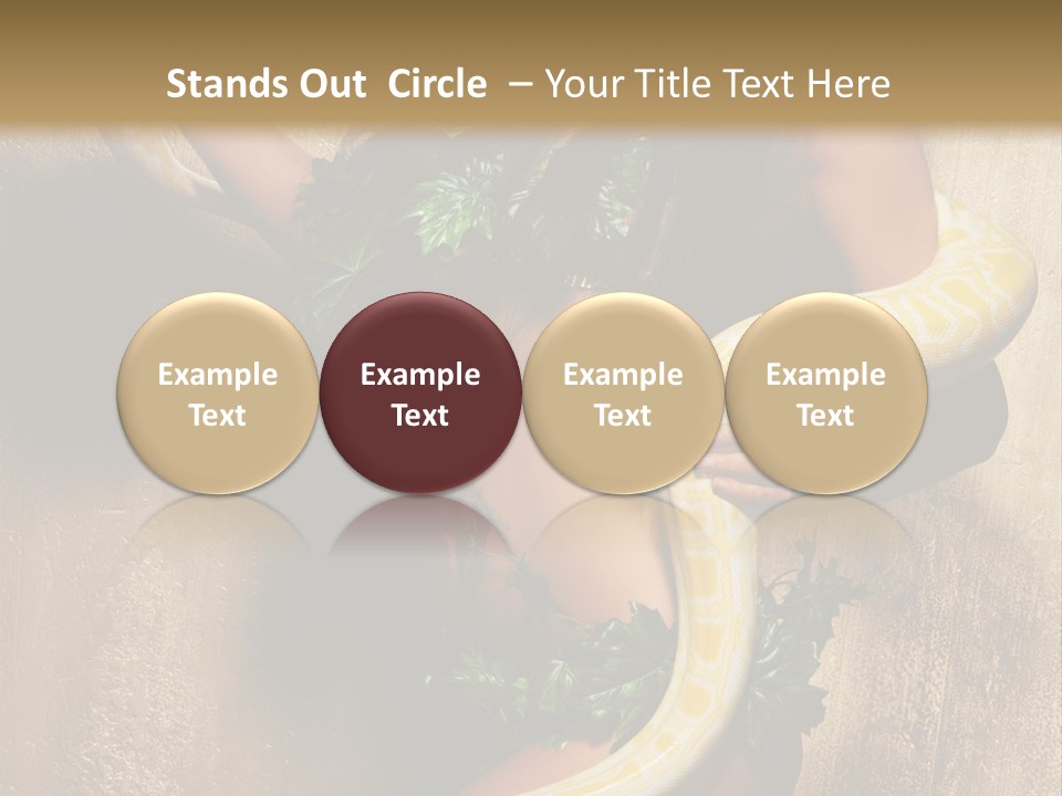 Posing Green Albino PowerPoint Template