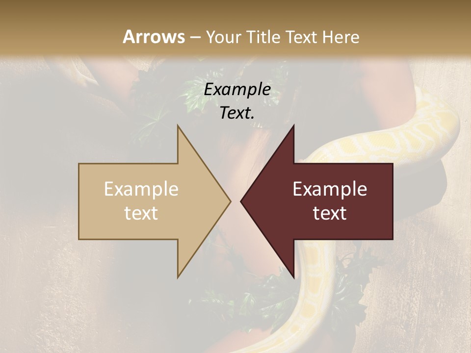 Posing Green Albino PowerPoint Template