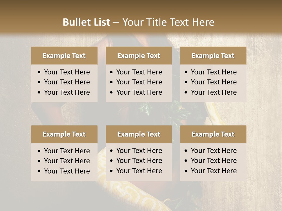 Look Beautiful Attractive PowerPoint Template