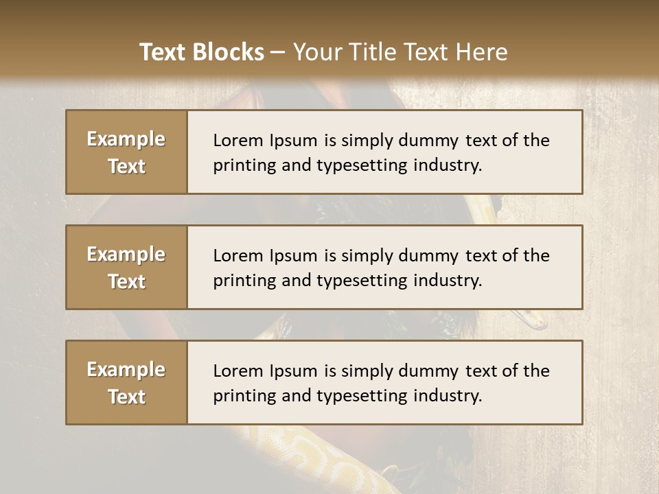 Look Beautiful Attractive PowerPoint Template