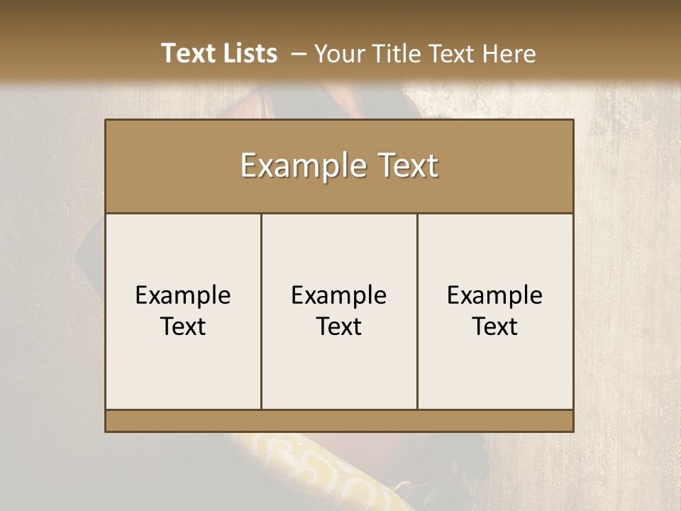 Look Beautiful Attractive PowerPoint Template