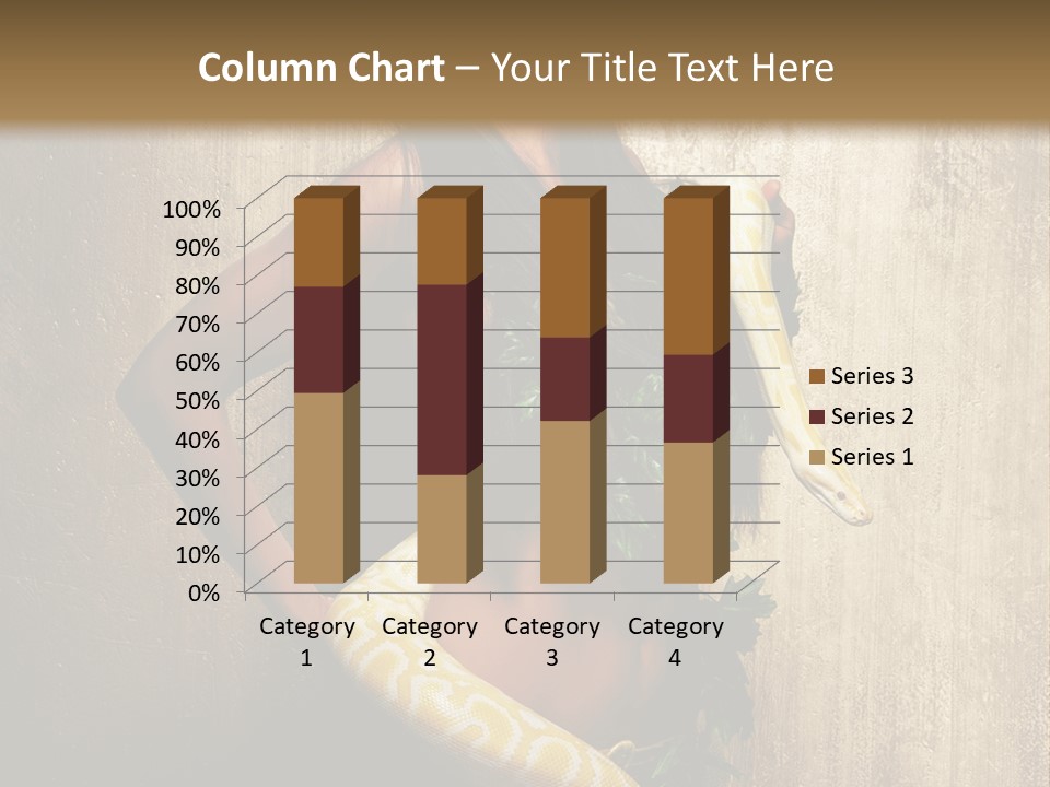 Look Beautiful Attractive PowerPoint Template