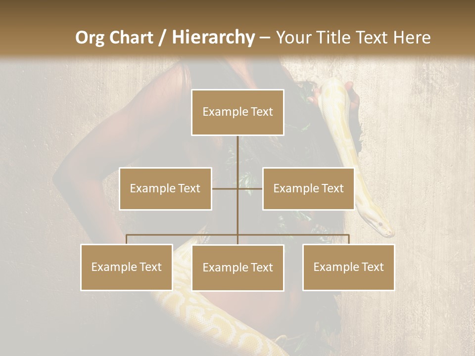 Look Beautiful Attractive PowerPoint Template