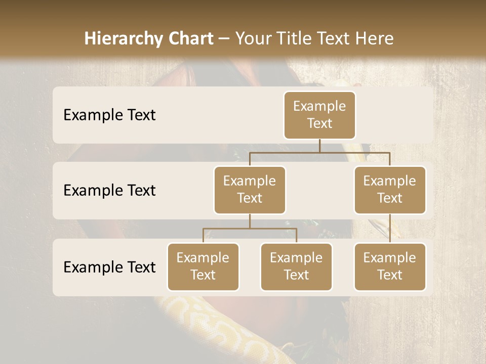Look Beautiful Attractive PowerPoint Template