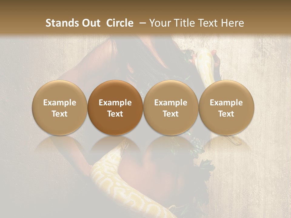 Look Beautiful Attractive PowerPoint Template