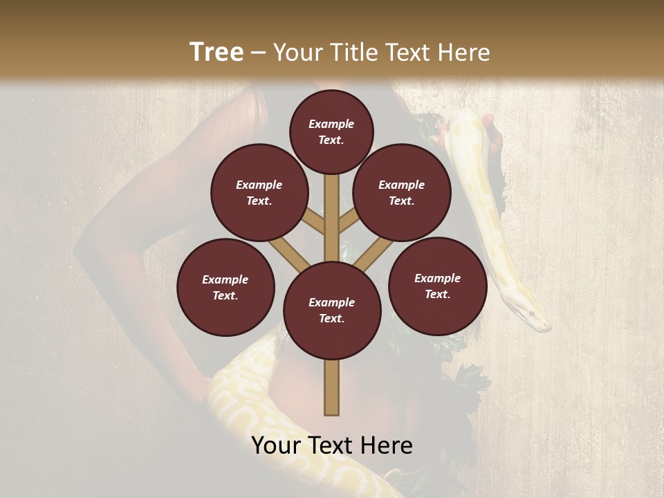 Look Beautiful Attractive PowerPoint Template