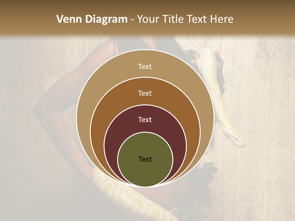 Look Beautiful Attractive PowerPoint Template