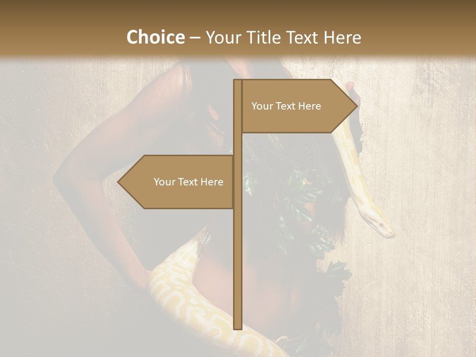 Look Beautiful Attractive PowerPoint Template