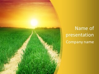 Road Environmental Way PowerPoint Template