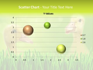 Little Herb Natural PowerPoint Template