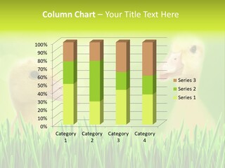 Little Herb Natural PowerPoint Template