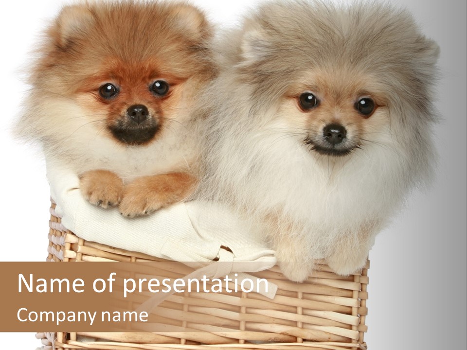 Domestic Handmade Fluffy PowerPoint Template