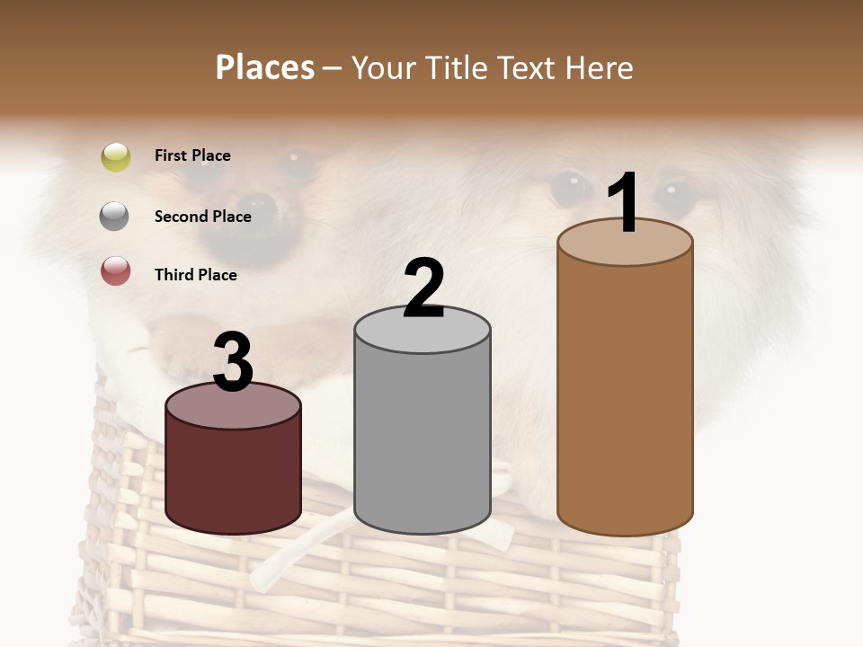 Domestic Handmade Fluffy PowerPoint Template