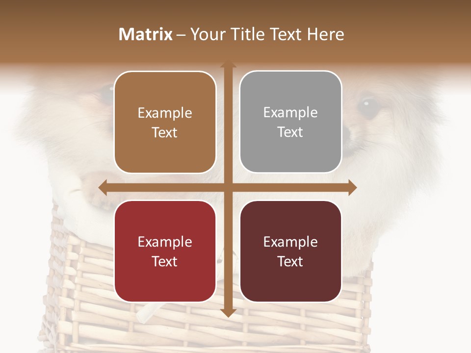 Domestic Handmade Fluffy PowerPoint Template