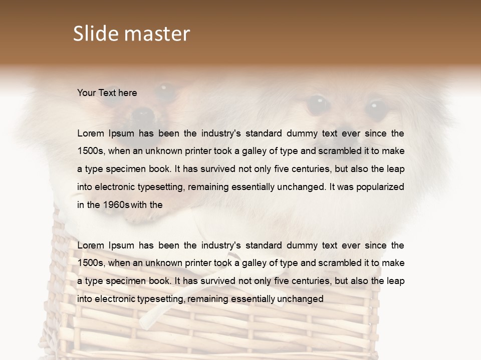 Domestic Handmade Fluffy PowerPoint Template