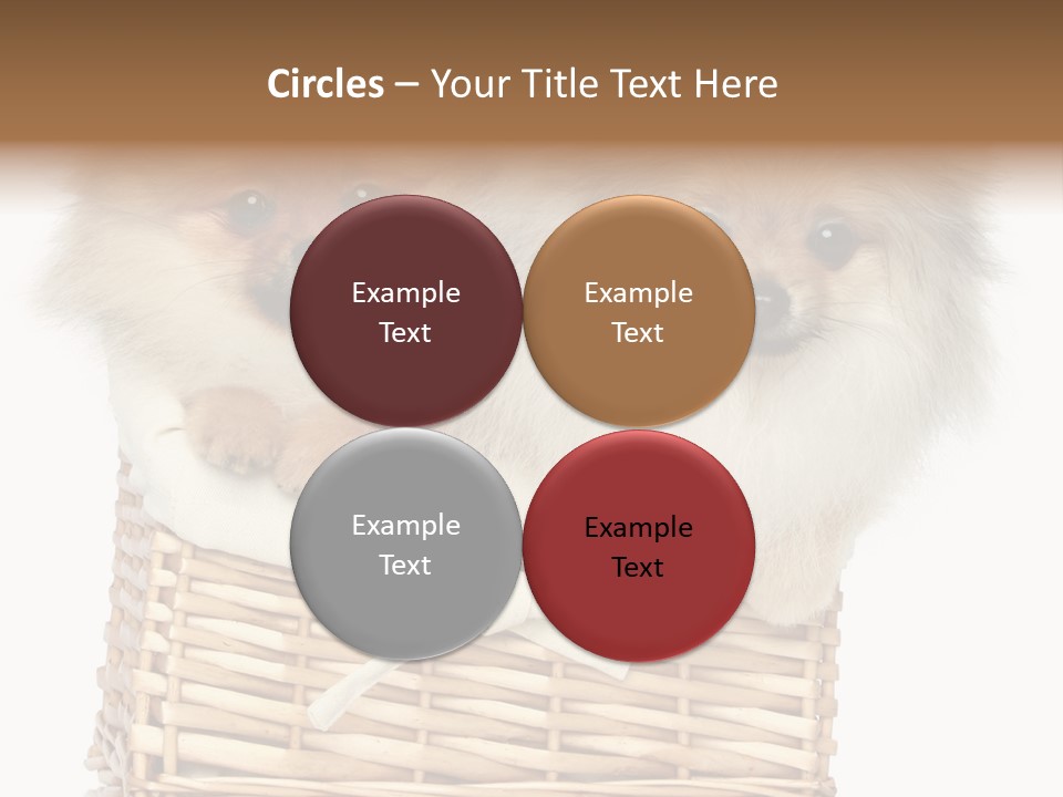 Domestic Handmade Fluffy PowerPoint Template