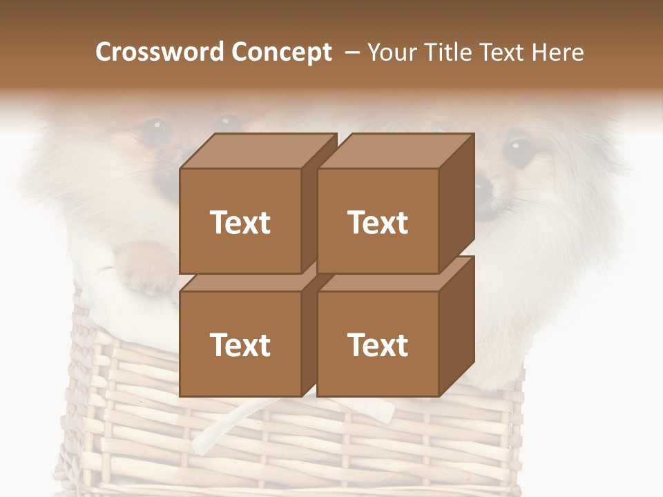 Domestic Handmade Fluffy PowerPoint Template