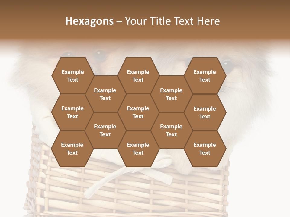 Domestic Handmade Fluffy PowerPoint Template