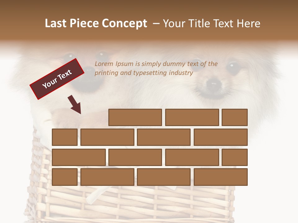 Domestic Handmade Fluffy PowerPoint Template