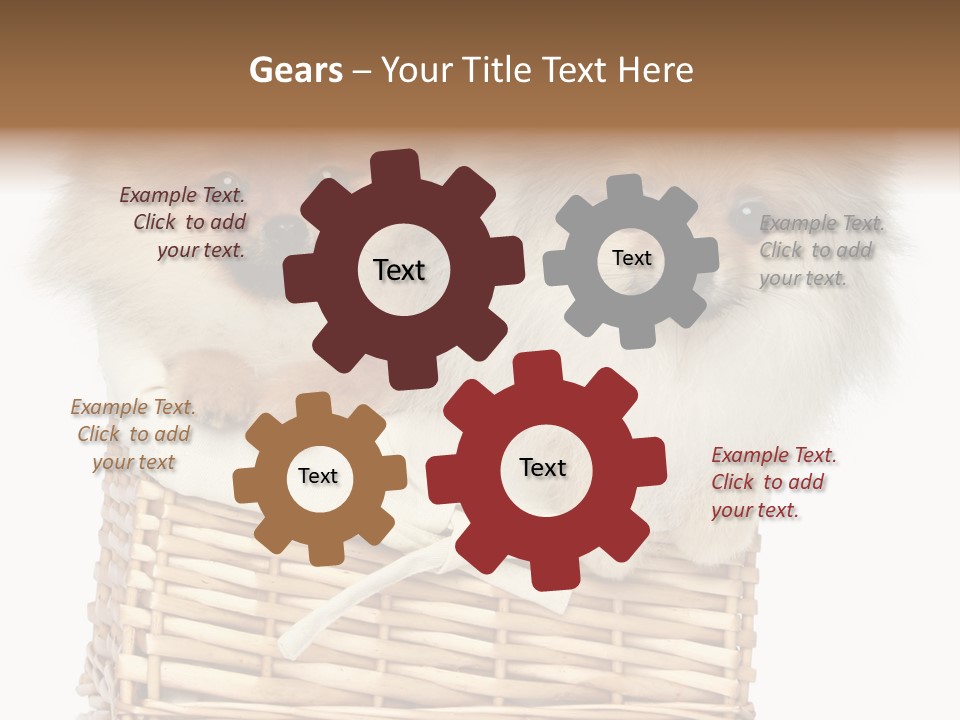 Domestic Handmade Fluffy PowerPoint Template