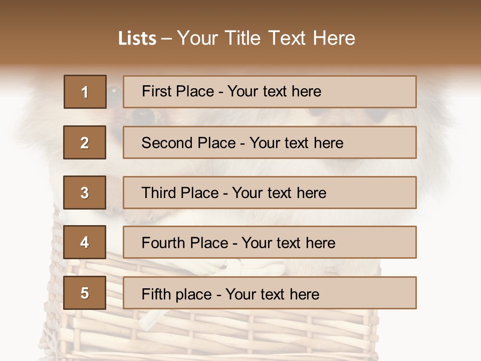 Domestic Handmade Fluffy PowerPoint Template