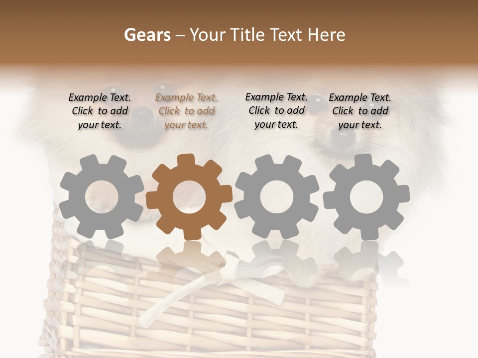 Domestic Handmade Fluffy PowerPoint Template