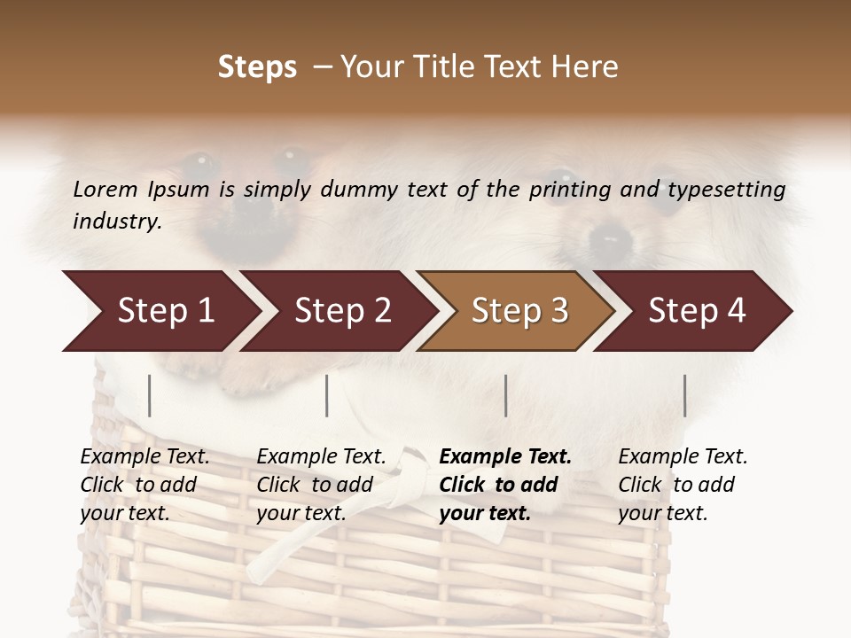 Domestic Handmade Fluffy PowerPoint Template
