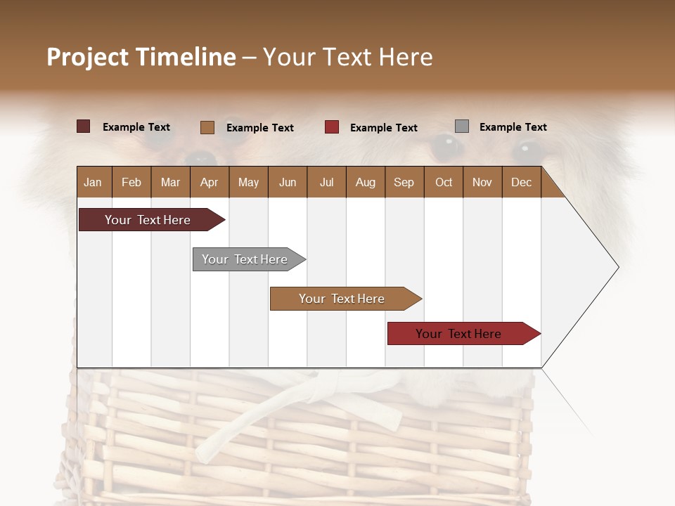 Domestic Handmade Fluffy PowerPoint Template