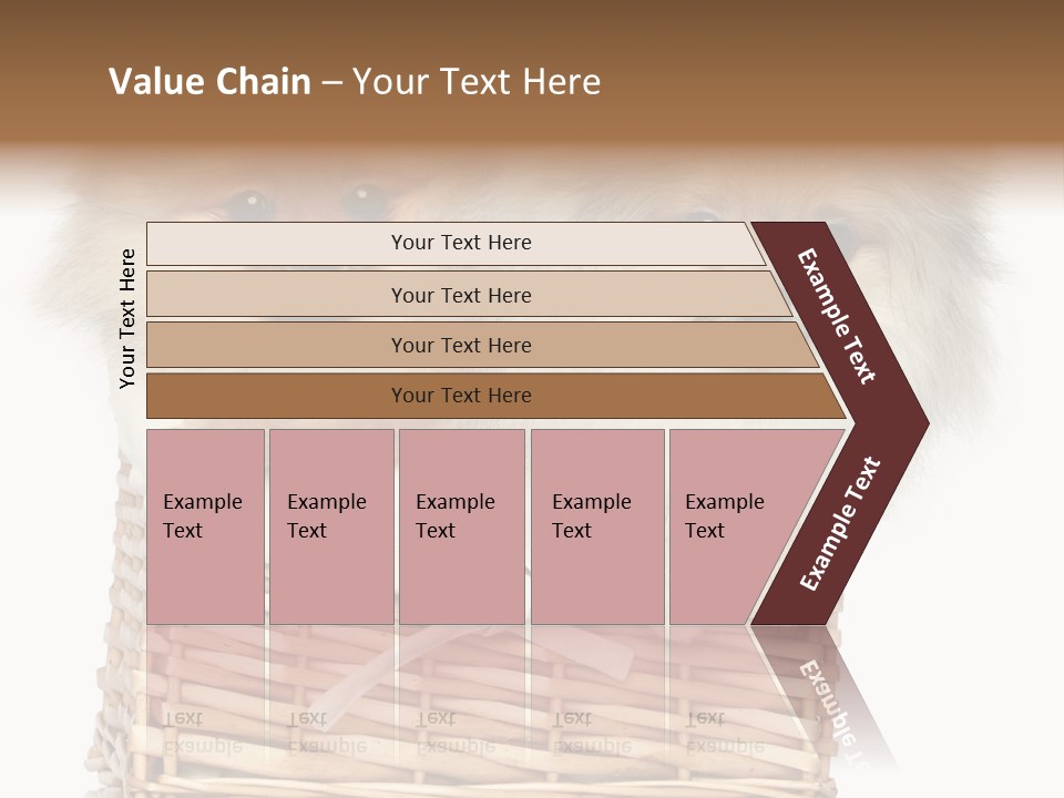 Domestic Handmade Fluffy PowerPoint Template