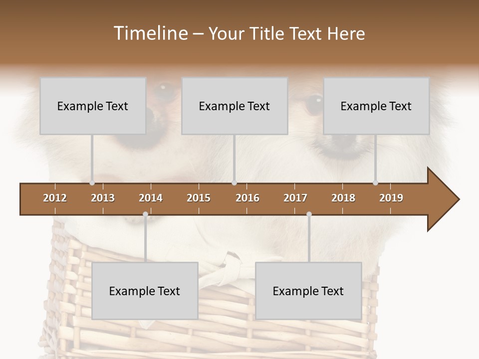 Domestic Handmade Fluffy PowerPoint Template