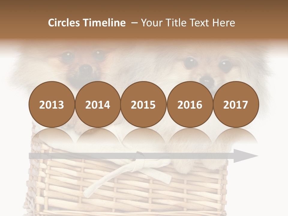 Domestic Handmade Fluffy PowerPoint Template