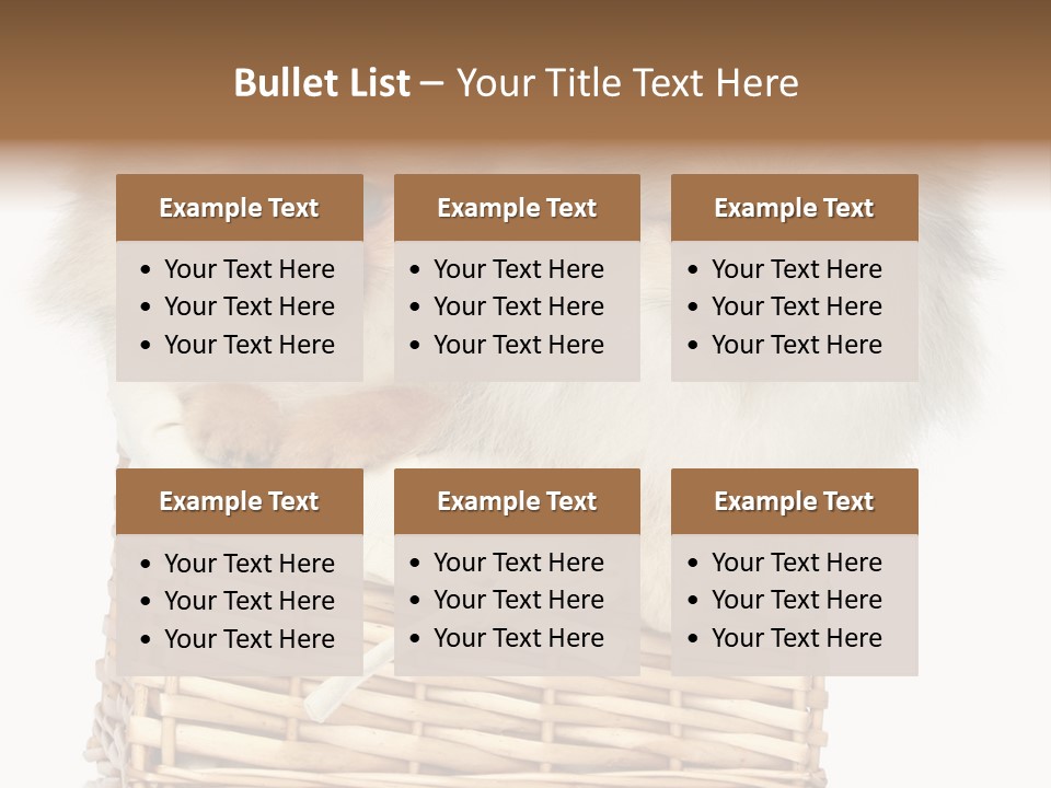 Domestic Handmade Fluffy PowerPoint Template