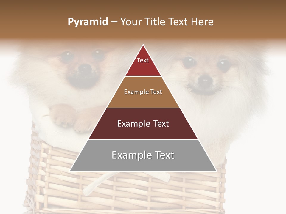 Domestic Handmade Fluffy PowerPoint Template