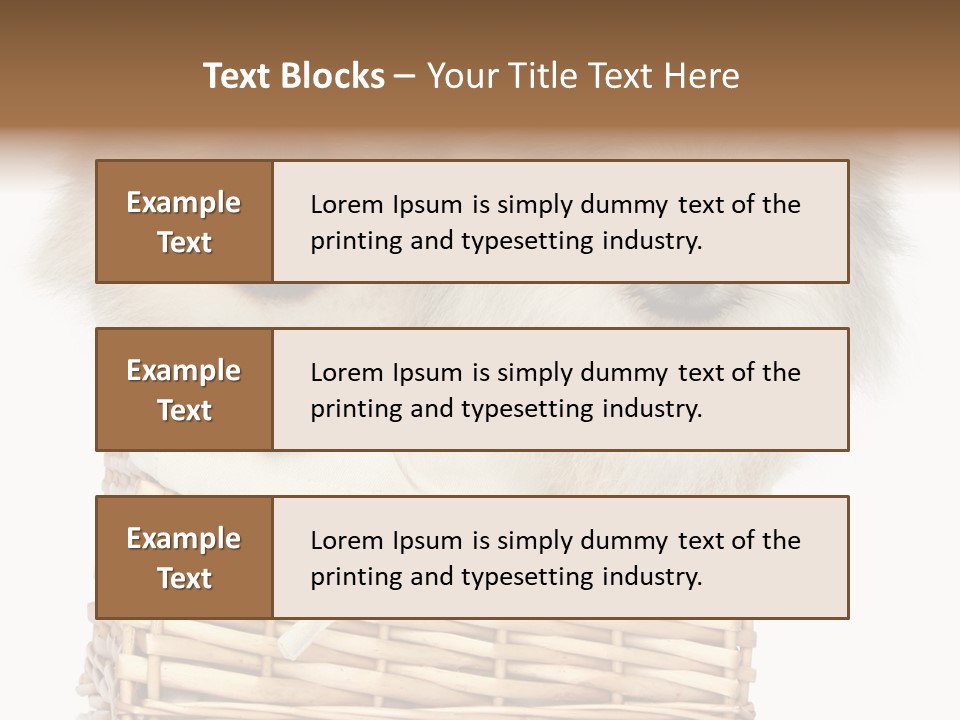 Domestic Handmade Fluffy PowerPoint Template