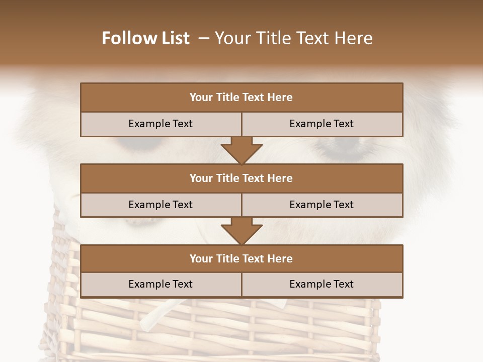Domestic Handmade Fluffy PowerPoint Template