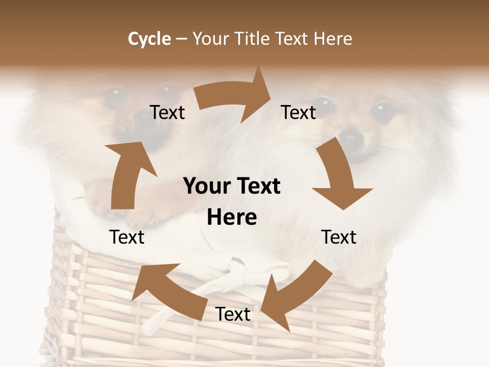 Domestic Handmade Fluffy PowerPoint Template