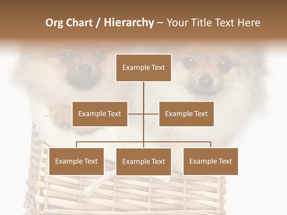 Domestic Handmade Fluffy PowerPoint Template